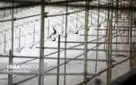 مشکل نفوذ آب در ورزشگاه آزادی کماکان وجود دارد